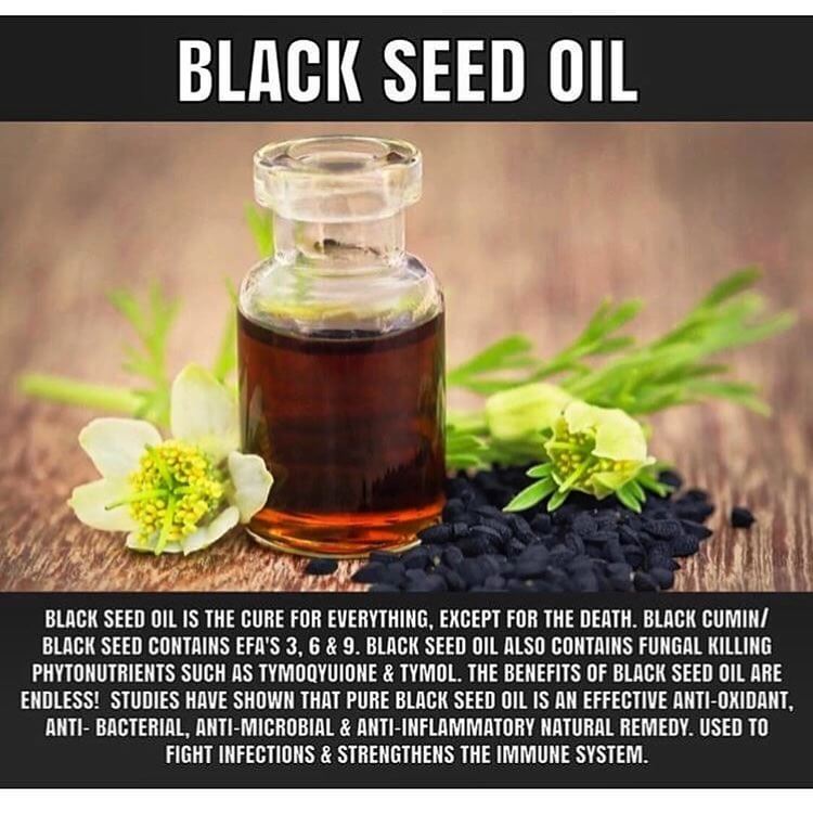 seed oil hair benefits growth fuel rocket scalp sensod